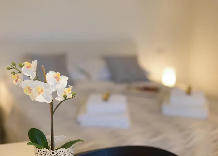 Apartment New Near 123 *